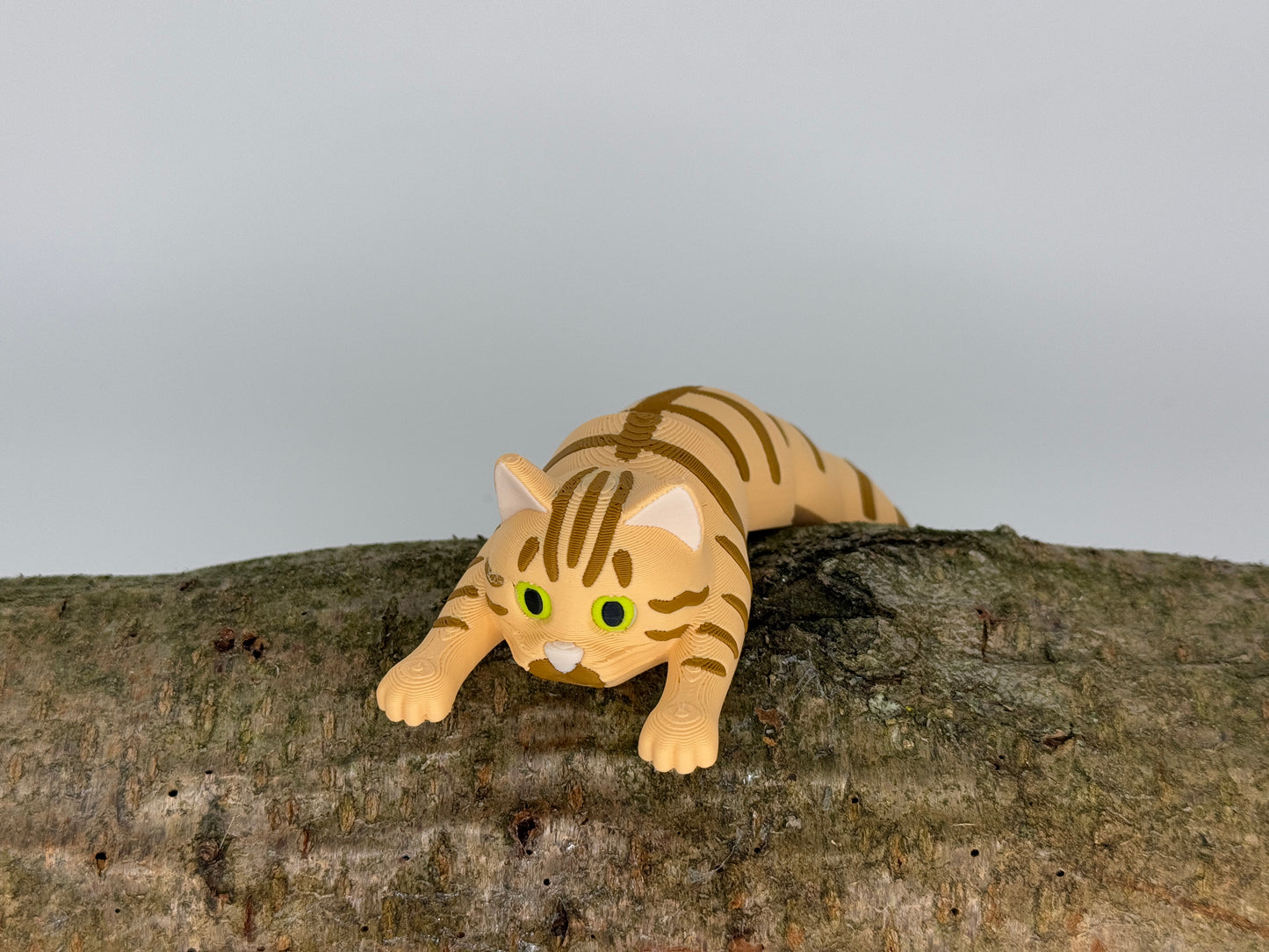 flexible Katze getigert