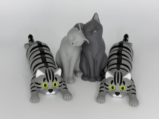 Set liebende Katzen & flexible Katzen getigert
