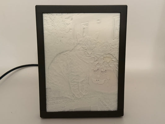 3D-gedrucktes Foto
