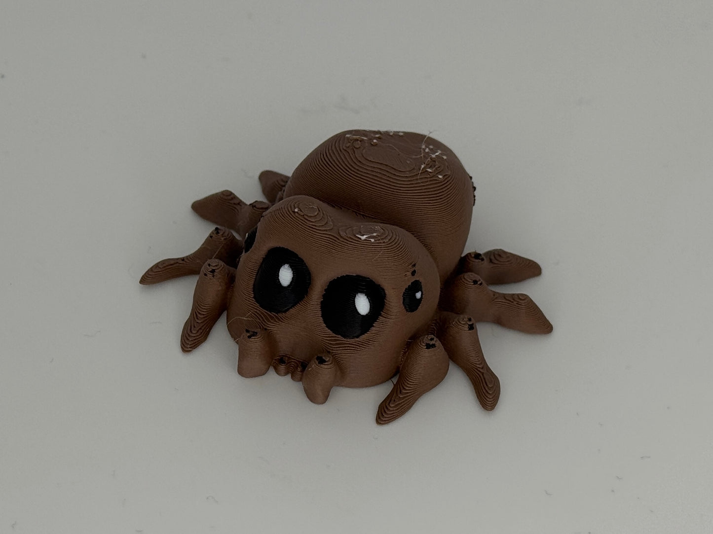 Spinne
