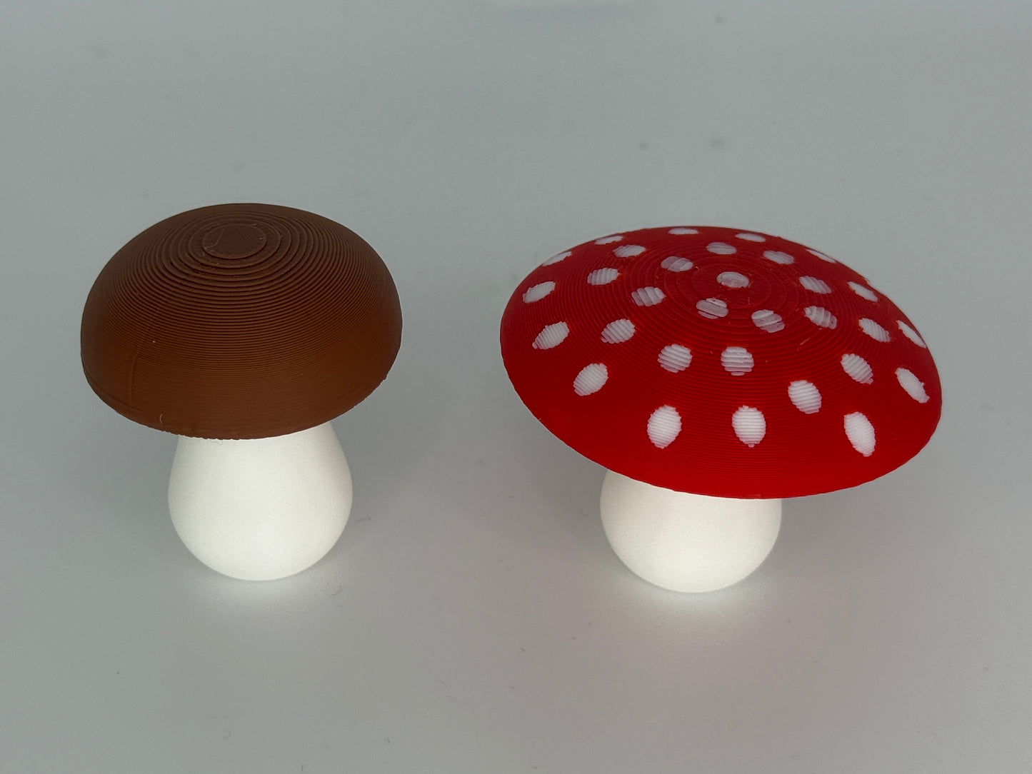 Pilz