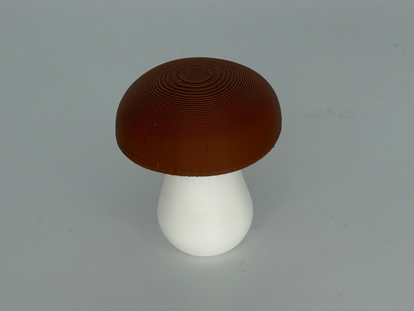 Pilz