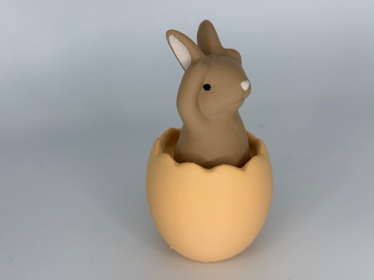 Hase nichts hören