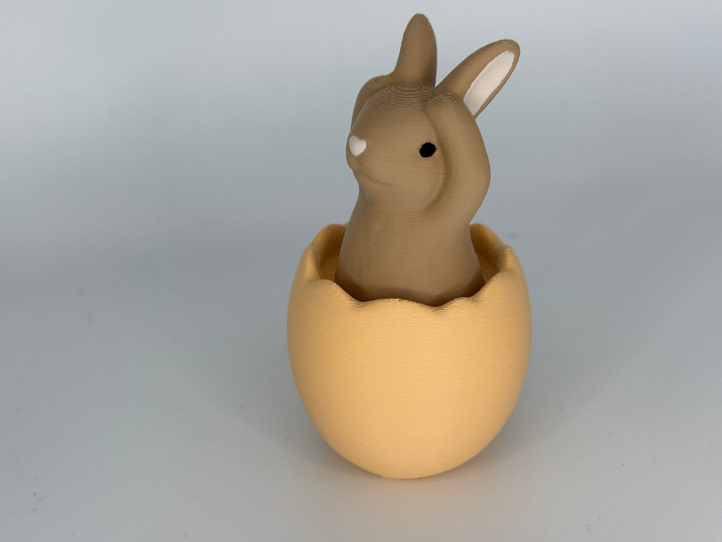 Hase nichts hören