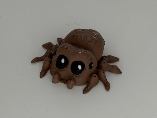 Spinne